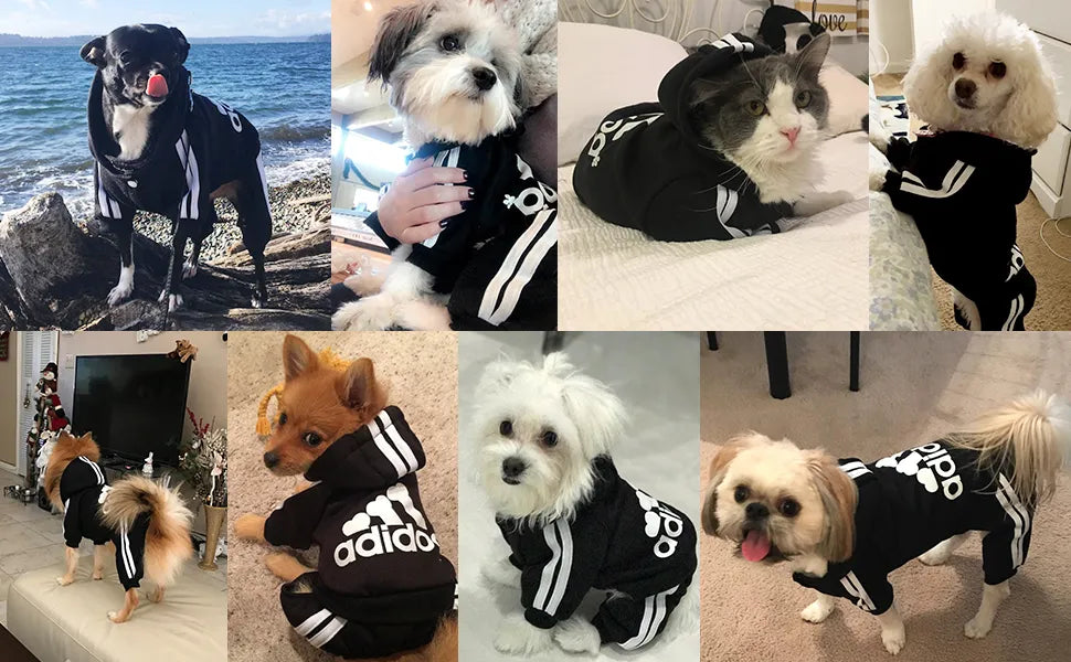 Adidog Pet Hoddie S-XXL